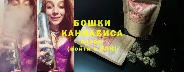 дживик Медногорск