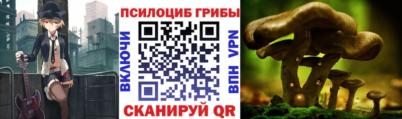 дарк нет клад  Суоярви  Псилоцибиновые грибы прущие грибы  как найти закладки 